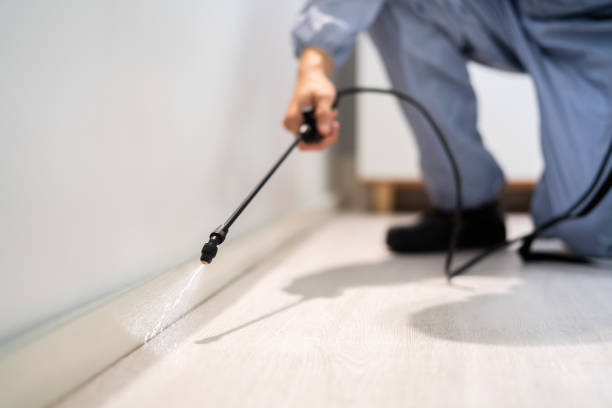 Licensed Mosquito Control service in Coal City, IL - Show Me Pest Control