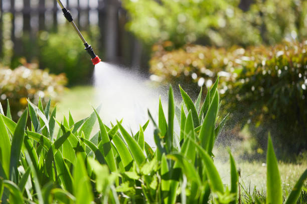 24/7 Emergency Mosquito Control experts in Coal City, IL