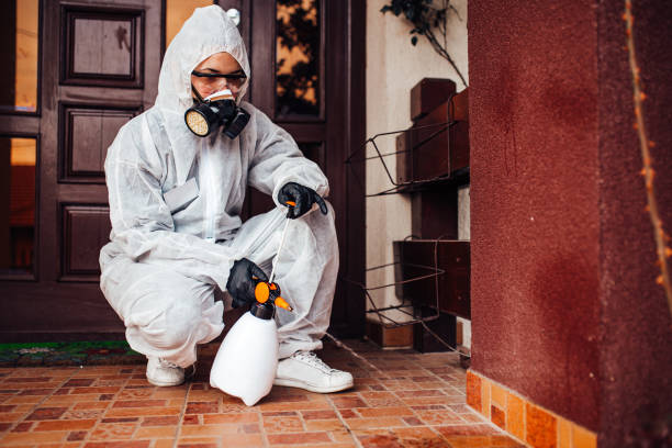 Reliable Mosquito Control contractor in Coal City, IL by Show Me Pest Control